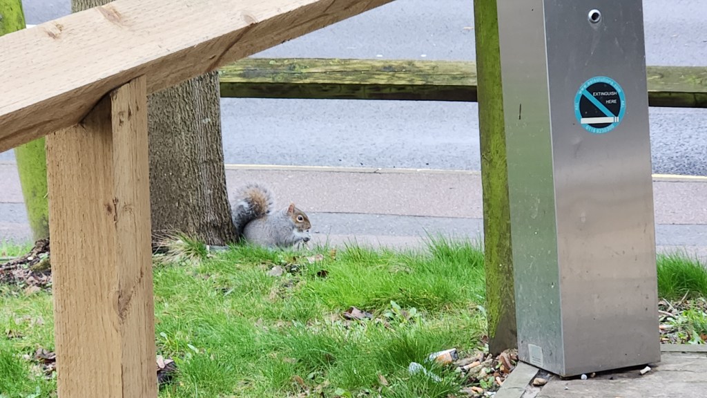 Day 1: Arrival and&nbsp;Watford